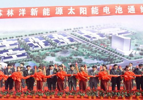 江蘇林洋新能源有限公司成立，10月，第一條太陽能電池線投產(chǎn)運行